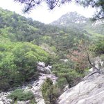 봄산에 다시한번 올라가보고..
