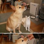 <b>우씨</b>~왜 쟤만 줘!!!!