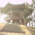 <b>안면</b>도 자연휴양림 수목원