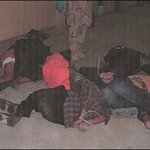 미군에 의한 이라크 포로 <b>성학대</b> 1