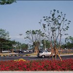 대구국제공항-<b>신청사</b>