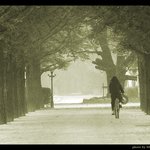 좋은 경관을 올립<b>니더</b>예4