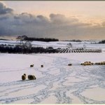 brian walters의 수채화... (1)