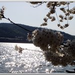조금만 더 올립<b>니더</b>예10