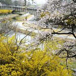 <b>봄</b> <b>산책</b>길