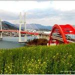 삼천포에서 .창선.<b>남해</b>까지 긴다리