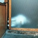 제발 열려라~ <b>plz</b>