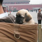 거기가...<b>편한</b>게냐??