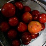 <b>자두</b>에여~^^ 맛있겠져?