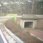 <b>안면</b>도 여행