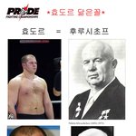 격투<b>황제</b> 효도르 닮은꼴