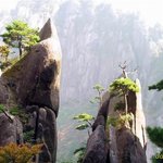 오늘도 무사히 올립<b>니더</b>예7