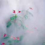 <b>지리산</b>풍경