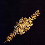 <b>달리</b>의 보석