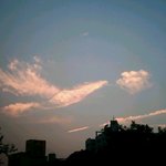 서울상공에 뜬 <b>불사조</b>