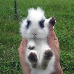 <b>하잉</b>! 토실이에요^ㅅ^