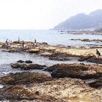 <b>낚시</b>하는 모습, 스트레스 날아가겠네요. ^^