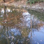 봐줄만해서 올립<b>니더</b>예28