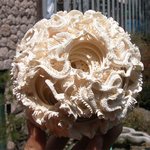 세상에 단 한개 '불가사의 상아<b>보물</b> 22층 다층구(多層球)'