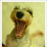 우리 <b>티나</b>♡