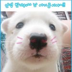 ♥:+:<b>울</b><b>집</b>에 곰이 있어요~>_<