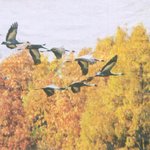 겨울이 왔습니다.
