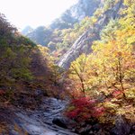 <b>설악산</b>의 단풍...