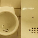베리굿 아이디어 -_-b