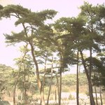 <b>안면</b>도 여행