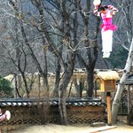 널뛰기 <b>묘기</b>