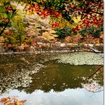 가을 <b>낭만</b>