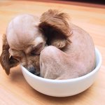 <b>복날</b>이 생각납니다