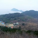 <b>천연</b>기념물 136호 - 외연도 상록수림