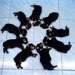 우리 형제의 힘을 보여<b>주자</b>!!!