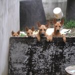 원 투 <b>쓰리</b> 포
