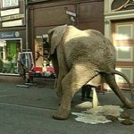 대단한 노상<b>방뇨</b>