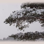 좋은 경관을 올립<b>니더</b>예8