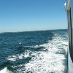 <b>배위</b>에서 찍은 바다의 모습