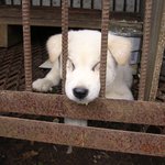 <b>흑</b>... 낑겼어요