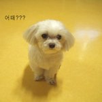 <b>목욕</b>했어요~~