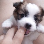 아~야야~~!!!ㅜㅜ