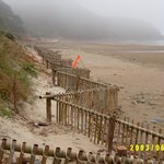 <b>안개</b>낀 안면도의 모래포집기