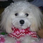우리 집 귀염둥이 <b>수아</b>에요