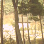 <b>안면</b>도 여행