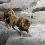 <b>별미</b>일까!!!!