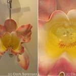 이렇게 아름다운 변기 보신적 있나요?