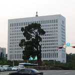 대법원앞 <b>고목</b>( 보호수 향나무)