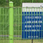 사람보다 귀중한 <b>잔디</b>