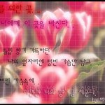 <b>튤립</b>