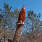 거시기 <b>비스</b>므리?